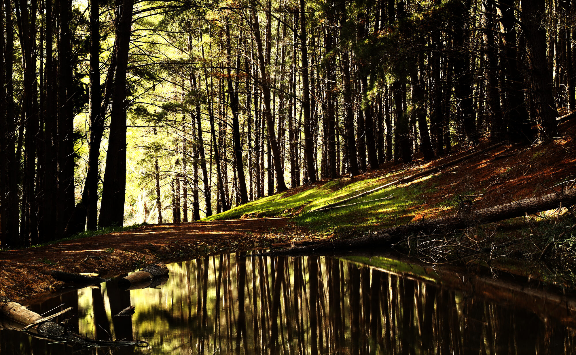 Top 10 Fleurieu walks and trails